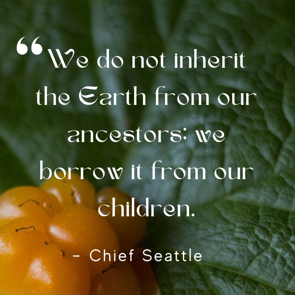 "We do not inherit the Earth from our ancestors; we borrow it from our children." Quote by Chief Seattle