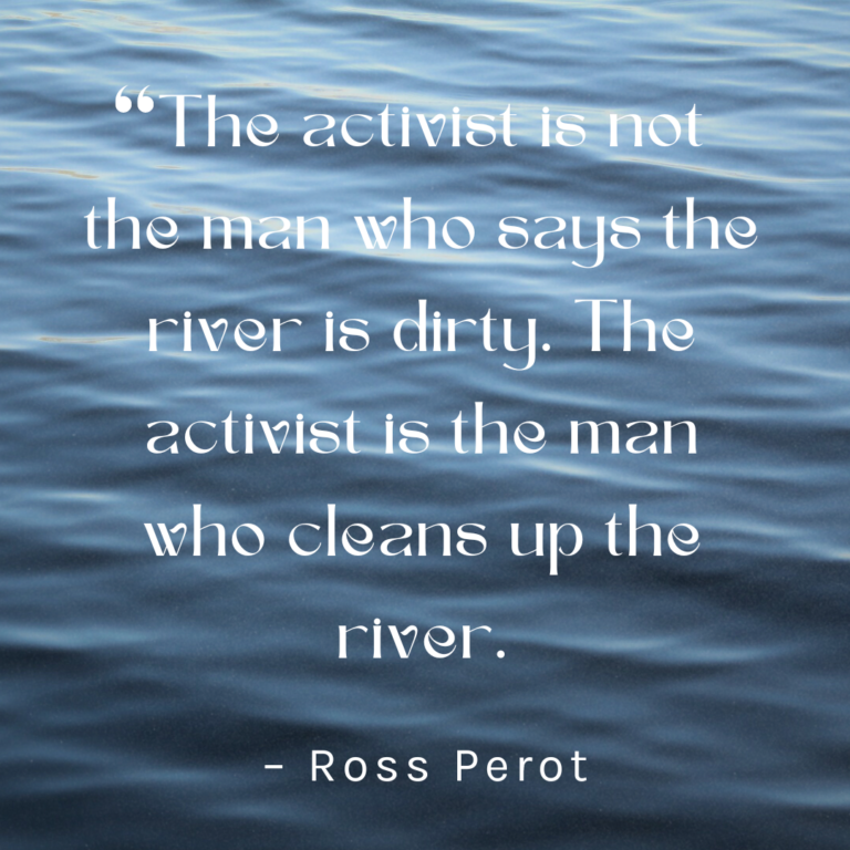 "The activist is not the man who says the river is dirty. The activist is the man who cleans up the river." Quote by Ross Perot