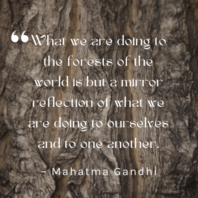"What we are doing to the forests of the world is but a mirror reflection of what we are doing to ourselves and to one another." Quote by Mahatma Gandhi