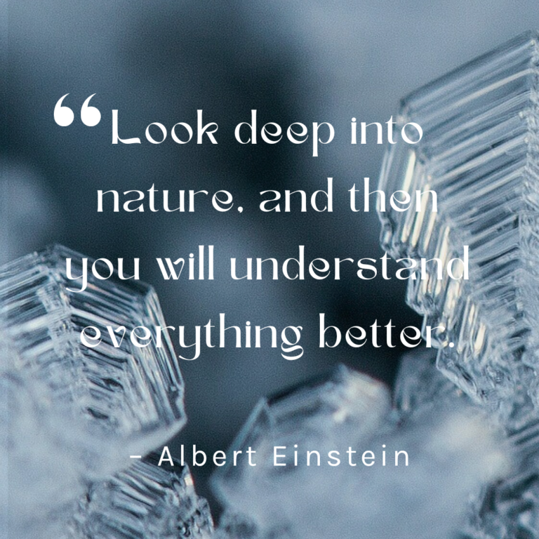 "Look deep into nature, and then you will understand everything better." Quote by Albert Einstein